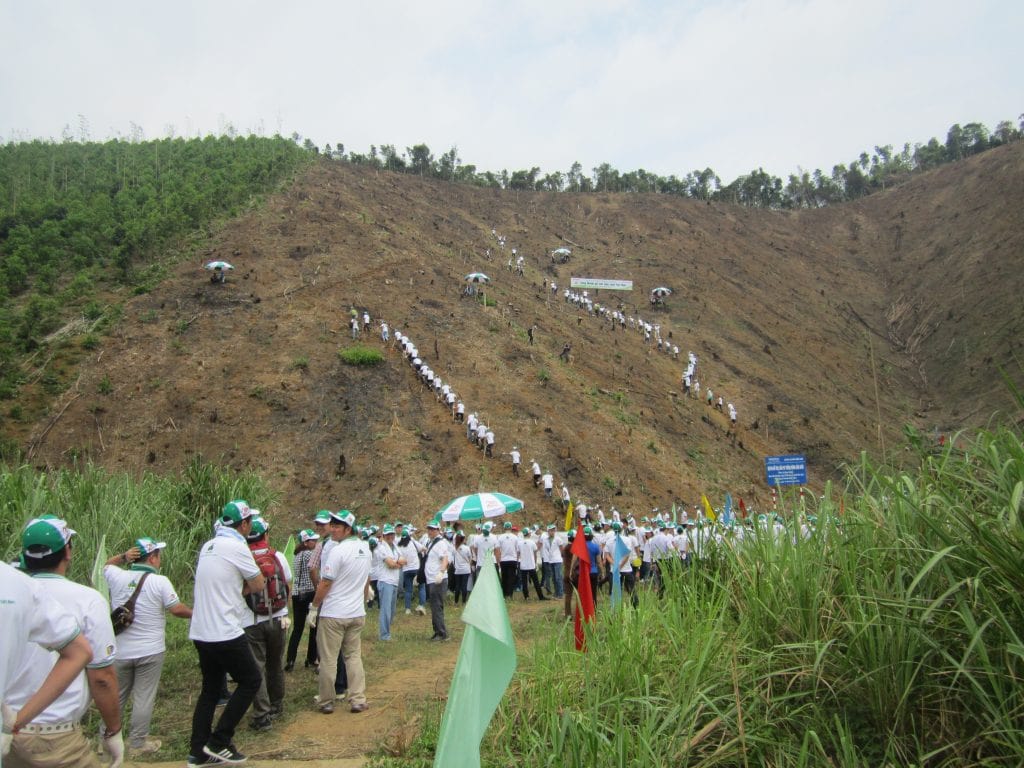Tổ chức thành công ngày hội trồng rừng cho Honda Vietnam